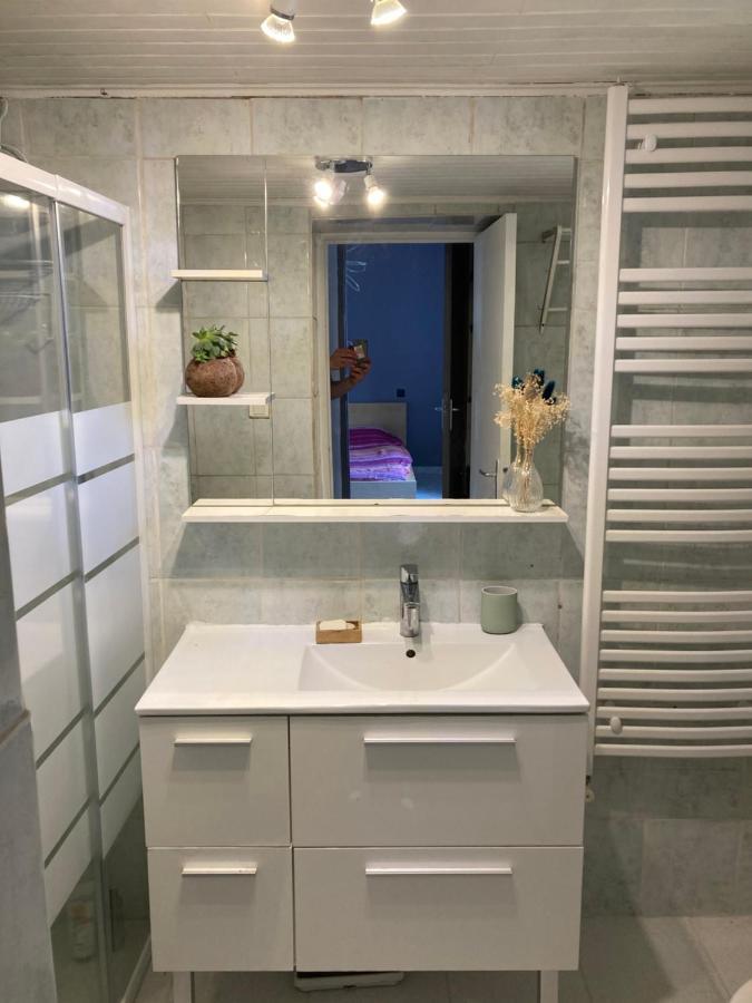 Gite Cosy 25 Min Lyon Vienne St Etienne Longes Экстерьер фото